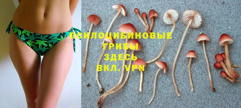 мега   Бабушкин  Галлюциногенные грибы Cubensis  купить наркотик 